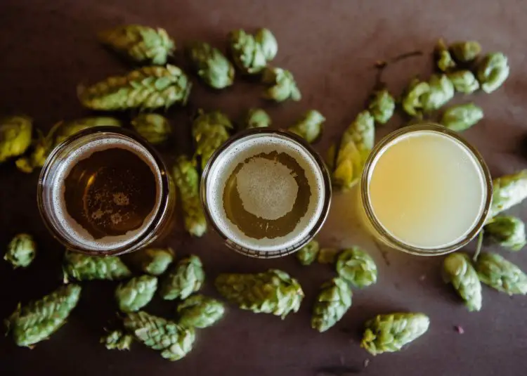 Three Beer Glasses On A Hop Covered Surface.