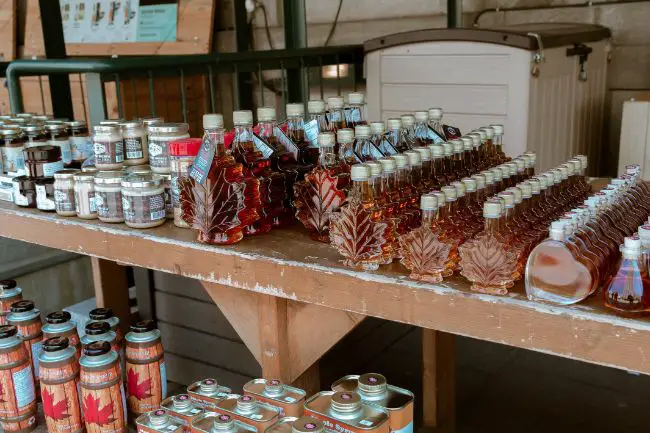  fermenting maple syrup - shelves full of it